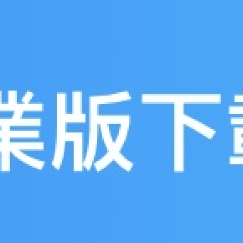 点專業版下載